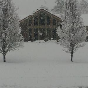 Meet your Posher, Steve